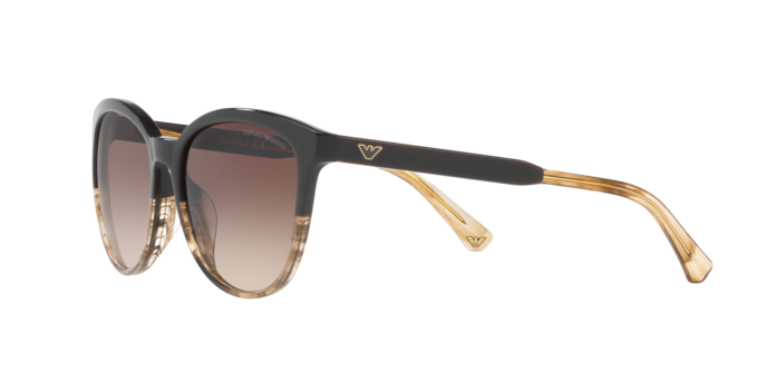 Emporio Armani Sunglasses EA4101 556713