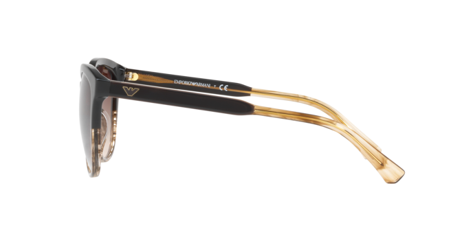 Emporio Armani Sunglasses EA4101 556713