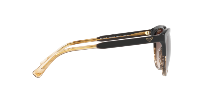 Emporio Armani Sunglasses EA4101 556713