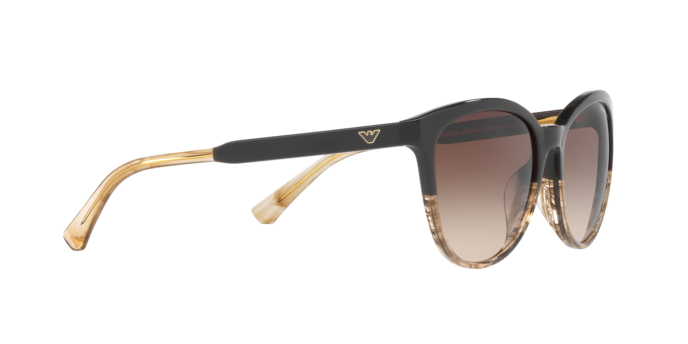 Emporio Armani Sunglasses EA4101 556713