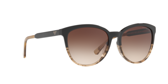 Emporio Armani Sunglasses EA4101 556713