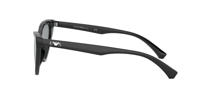 Emporio Armani Sunglasses EA4136 500187