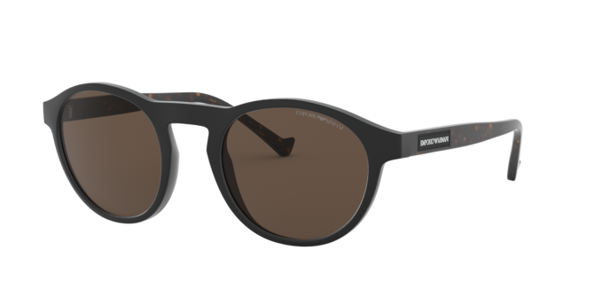 Emporio Armani Sunglasses EA4138 501773