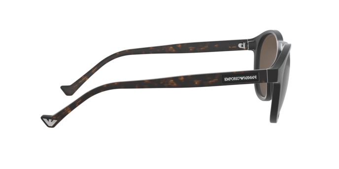 Emporio Armani Sunglasses EA4138 501773