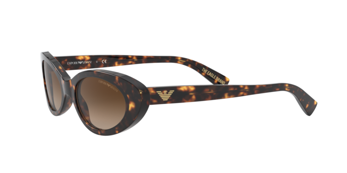 Emporio Armani Sunglasses EA4143 508913