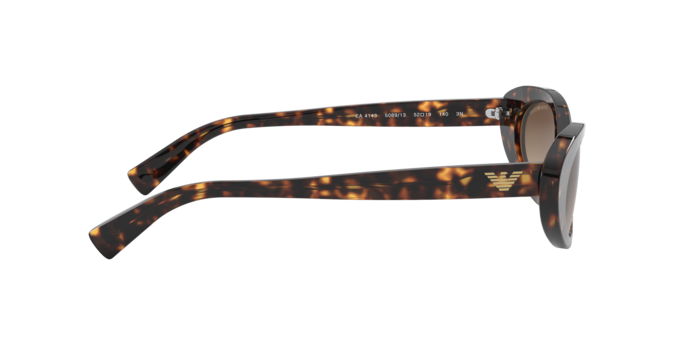 Emporio Armani Sunglasses EA4143 508913