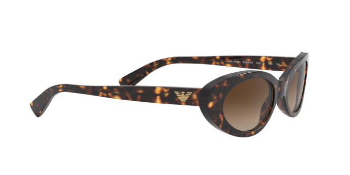 Emporio Armani Sunglasses EA4143 508913