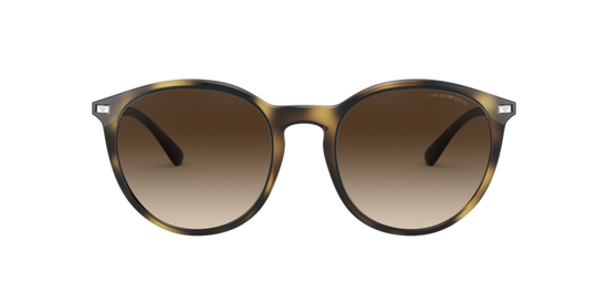 Emporio Armani Sunglasses EA4148 508913