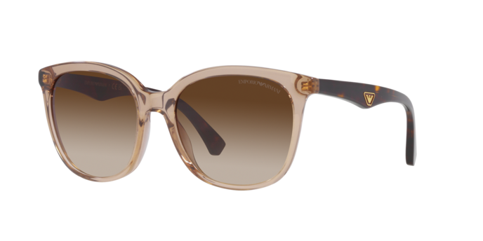 Emporio Armani Sunglasses EA4157 585013