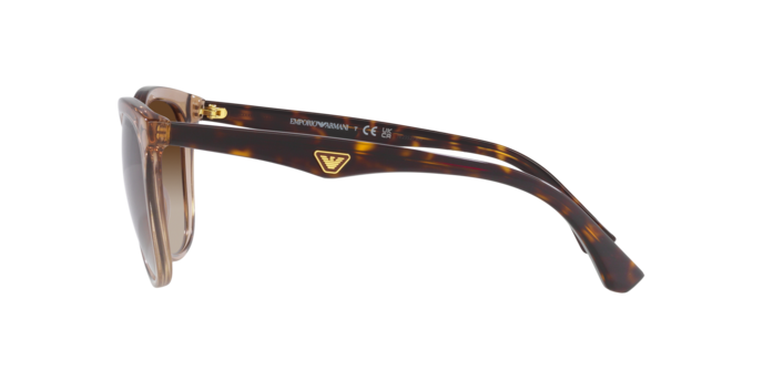 Emporio Armani Sunglasses EA4157 585013