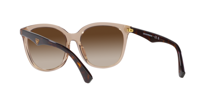 Emporio Armani Sunglasses EA4157 585013