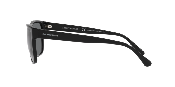 Emporio Armani Sunglasses EA4163 587587