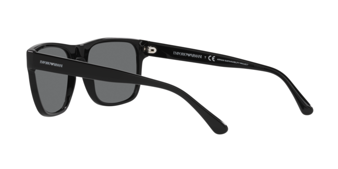 Emporio Armani Sunglasses EA4163 587587