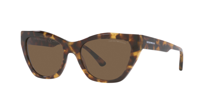 Emporio Armani Sunglasses EA4176 502573