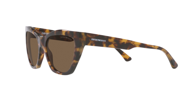 Emporio Armani Sunglasses EA4176 502573