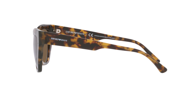 Emporio Armani Sunglasses EA4176 502573