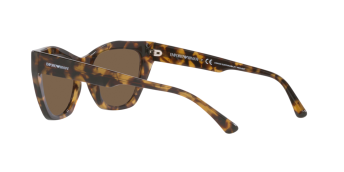 Emporio Armani Sunglasses EA4176 502573