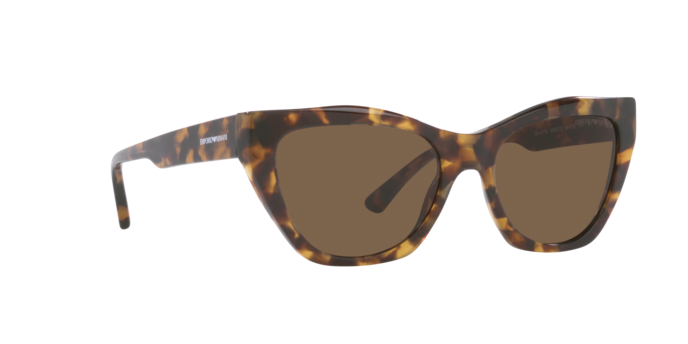 Emporio Armani Sunglasses EA4176 502573