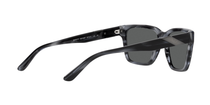 Emporio Armani Sunglasses EA4177 531087