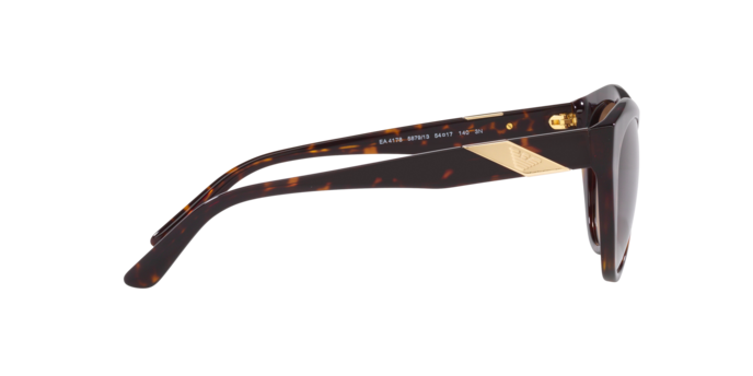 Emporio Armani Sunglasses EA4178 587913