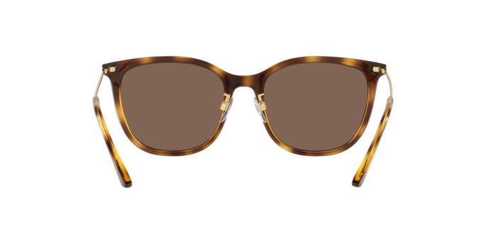 Emporio Armani Sunglasses EA4181 500273