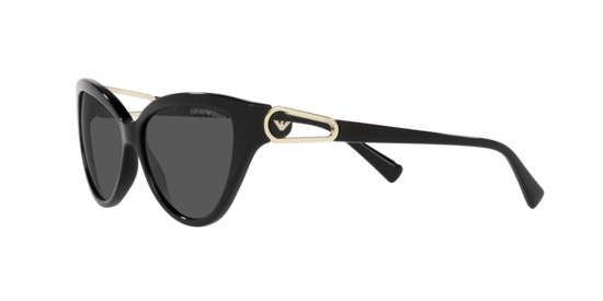 Emporio Armani Sunglasses EA4192 501787