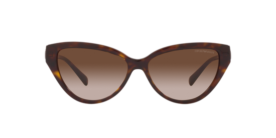 Emporio Armani Sunglasses EA4192 502613