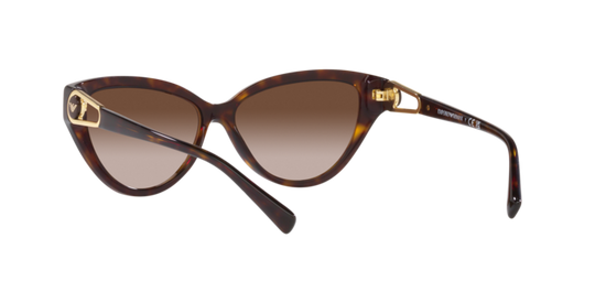 Emporio Armani Sunglasses EA4192 502613