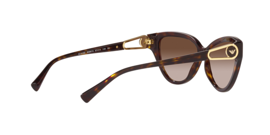 Emporio Armani Sunglasses EA4192 502613