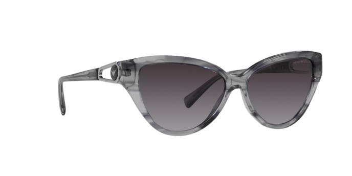 Emporio Armani Sunglasses EA4192 50358G