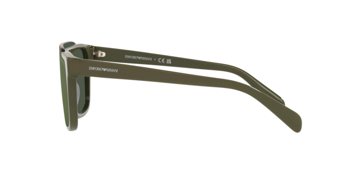 Emporio Armani Sunglasses EA4193 51206R