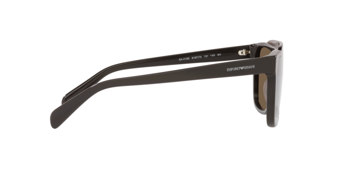 Emporio Armani Sunglasses EA4193 519773
