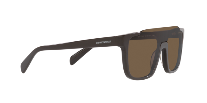 Emporio Armani Sunglasses EA4193 519773