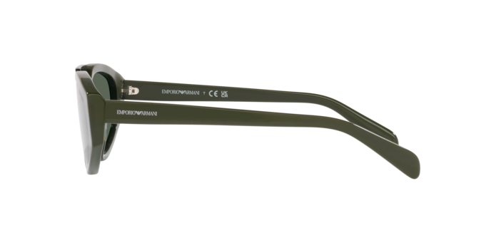 Emporio Armani Sunglasses EA4194 512071