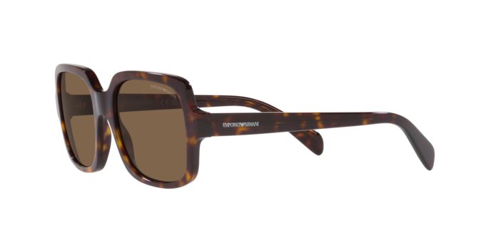 Emporio Armani Sunglasses EA4195 502673