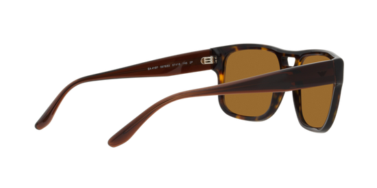 Emporio Armani Sunglasses EA4197 587983