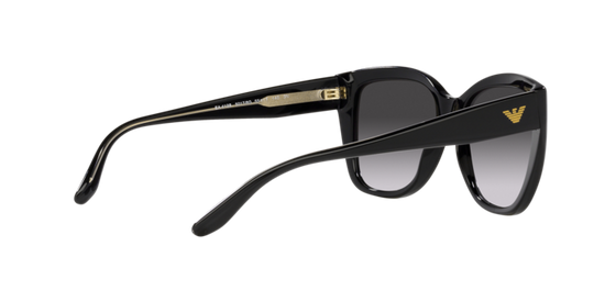 Emporio Armani Sunglasses EA4198 50178G