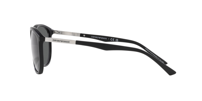 Emporio Armani Sunglasses EA4201 500187