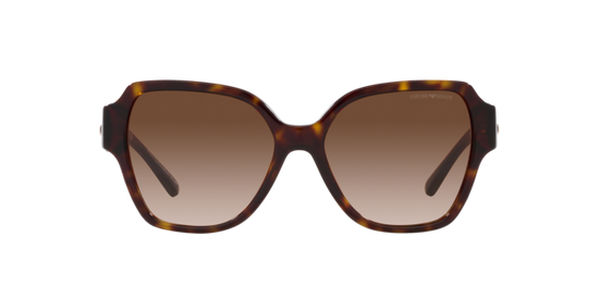 Emporio Armani Sunglasses EA4202 502613