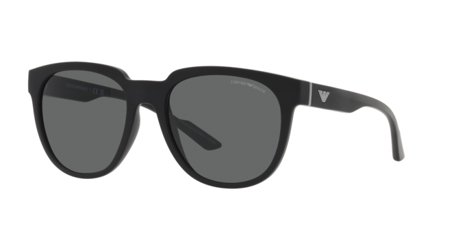 Emporio Armani Sunglasses EA4205 500187