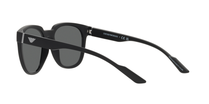 Emporio Armani Sunglasses EA4205 500187