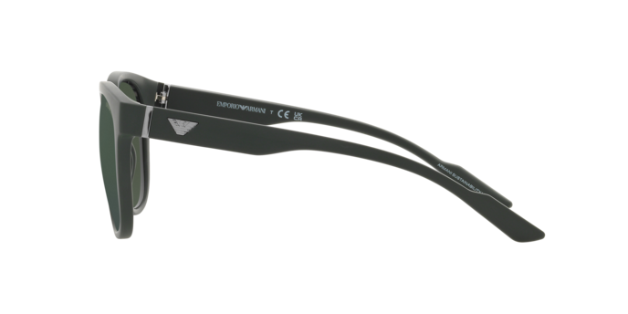 Emporio Armani Sunglasses EA4205 50586R