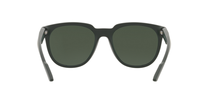 Emporio Armani Sunglasses EA4205 50586R