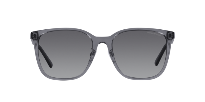 Emporio Armani Sunglasses EA4206D 5029T3