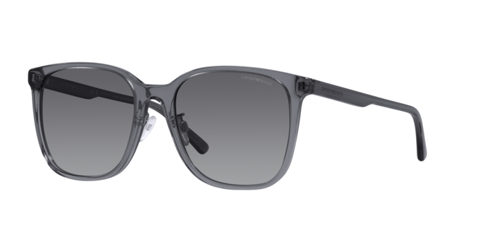 Emporio Armani Sunglasses EA4206D 5029T3