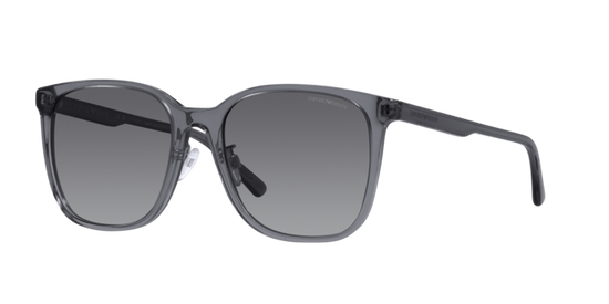 Emporio Armani Sunglasses EA4206D 5029T3