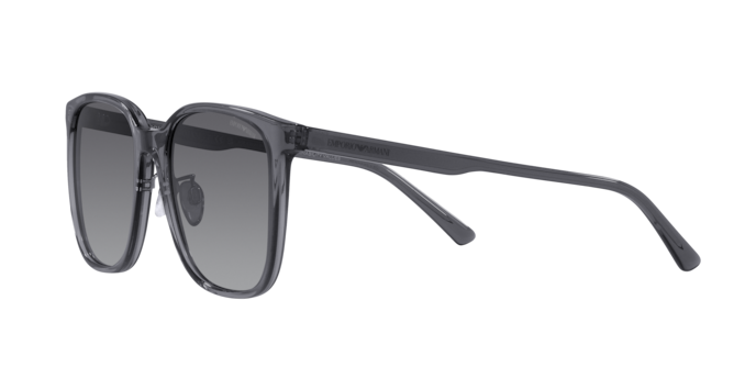 Emporio Armani Sunglasses EA4206D 5029T3