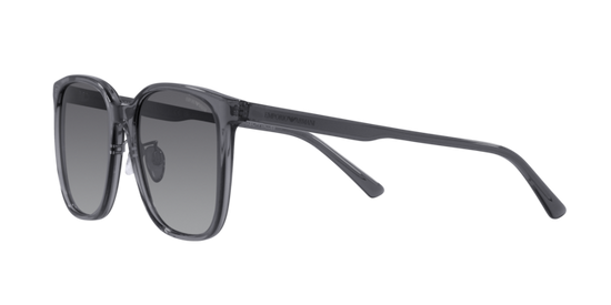 Emporio Armani Sunglasses EA4206D 5029T3