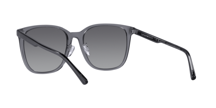 Emporio Armani Sunglasses EA4206D 5029T3