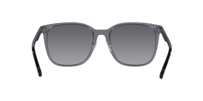 Emporio Armani Sunglasses EA4206D 5029T3